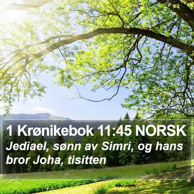 1 Krønikebok 11:45 NORSK Bible Verse Image