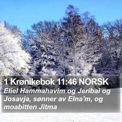 1 Krønikebok 11:46 NORSK Bible Verse Image