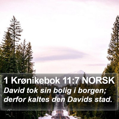 1 Krønikebok 11:7 NORSK Bible Verse Image