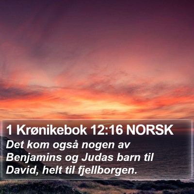 1 Krønikebok 12:16 NORSK Bible Verse Image