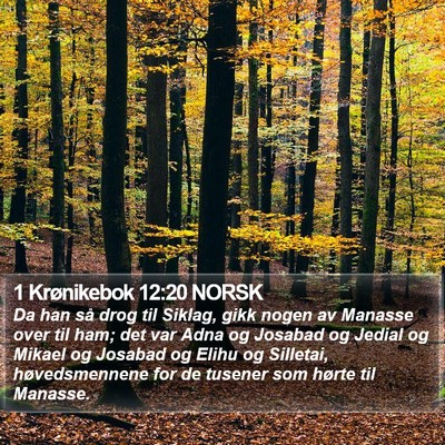 1 Krønikebok 12:20 NORSK Bible Verse Image