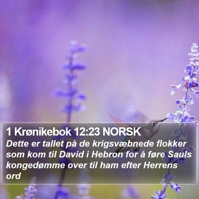 1 Krønikebok 12:23 NORSK Bible Verse Image