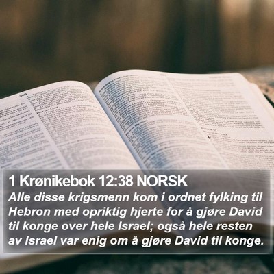1 Krønikebok 12:38 NORSK Bible Verse Image