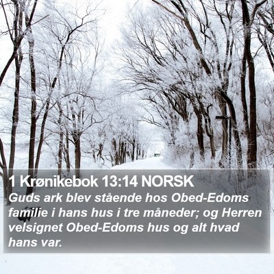 1 Krønikebok 13:14 NORSK Bible Verse Image