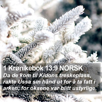 1 Krønikebok 13:9 NORSK Bible Verse Image