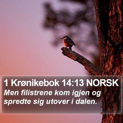 1 Krønikebok 14:13 NORSK Bible Verse Image