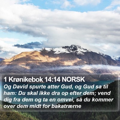 1 Krønikebok 14:14 NORSK Bible Verse Image