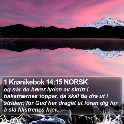 1 Krønikebok 14:15 NORSK Bible Verse Image