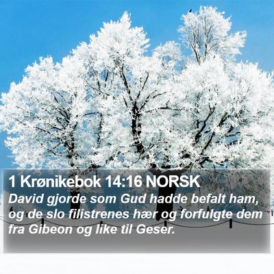 1 Krønikebok 14:16 NORSK Bible Verse Image