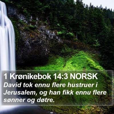 1 Krønikebok 14:3 NORSK Bible Verse Image