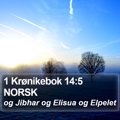 1 Krønikebok 14:5 NORSK Bible Verse Image