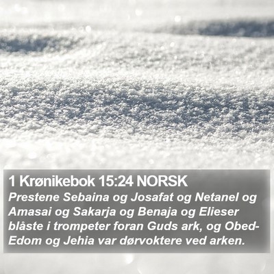 1 Krønikebok 15:24 NORSK Bible Verse Image