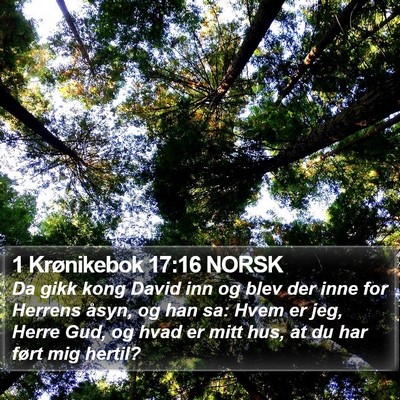 1 Krønikebok 17:16 NORSK Bible Verse Image