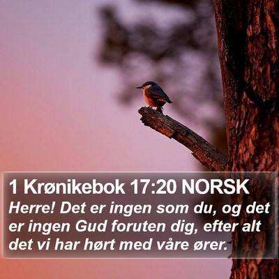 1 Krønikebok 17:20 NORSK Bible Verse Image