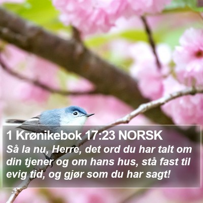 1 Krønikebok 17:23 NORSK Bible Verse Image