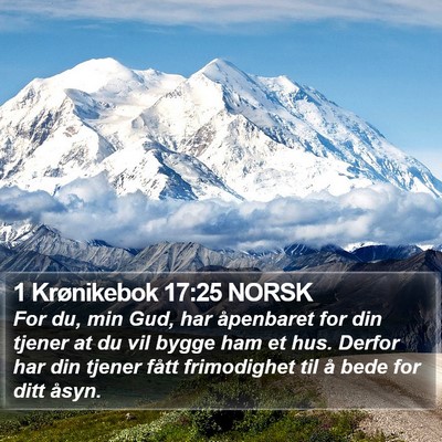 1 Krønikebok 17:25 NORSK Bible Verse Image