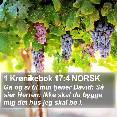 1 Krønikebok 17:4 NORSK Bible Verse Image