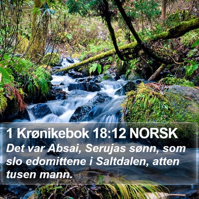 1 Krønikebok 18:12 NORSK Bible Verse Image