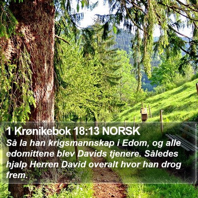 1 Krønikebok 18:13 NORSK Bible Verse Image