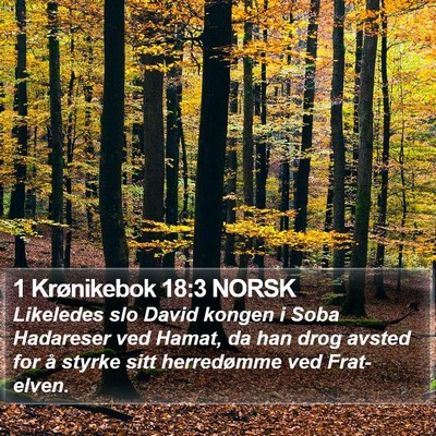 1 Krønikebok 18:3 NORSK Bible Verse Image