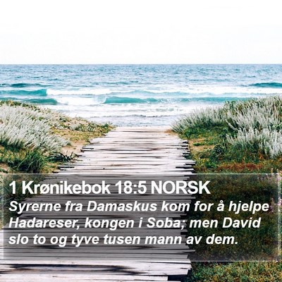 1 Krønikebok 18:5 NORSK Bible Verse Image