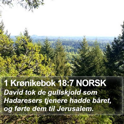 1 Krønikebok 18:7 NORSK Bible Verse Image