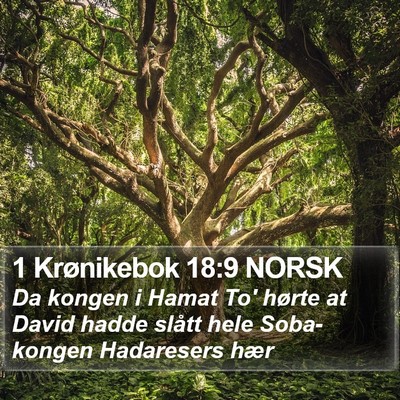 1 Krønikebok 18:9 NORSK Bible Verse Image