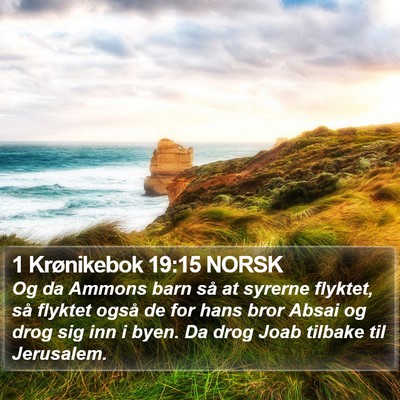 1 Krønikebok 19:15 NORSK Bible Verse Image