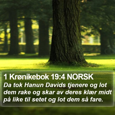 1 Krønikebok 19:4 NORSK Bible Verse Image