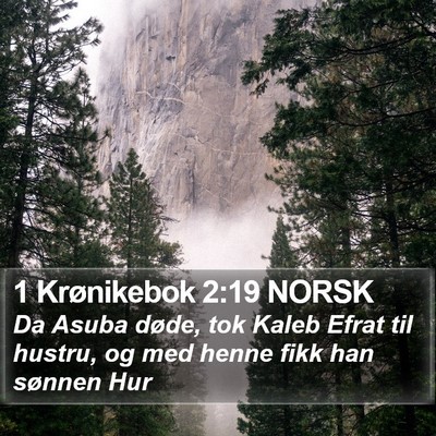 1 Krønikebok 2:19 NORSK Bible Verse Image