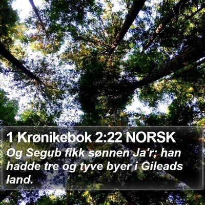 1 Krønikebok 2:22 NORSK Bible Verse Image