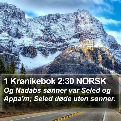 1 Krønikebok 2:30 NORSK Bible Verse Image