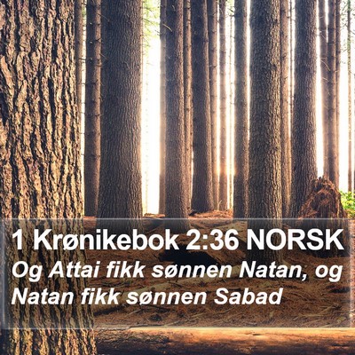 1 Krønikebok 2:36 NORSK Bible Verse Image