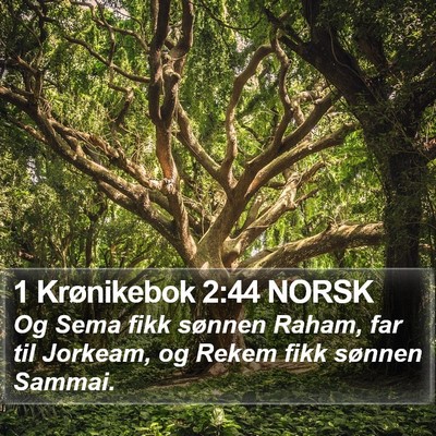 1 Krønikebok 2:44 NORSK Bible Verse Image