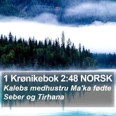 1 Krønikebok 2:48 NORSK Bible Verse Image