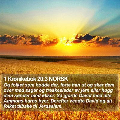 1 Krønikebok 20:3 NORSK Bible Verse Image