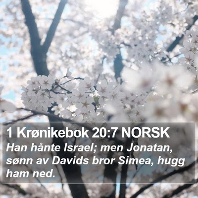 1 Krønikebok 20:7 NORSK Bible Verse Image