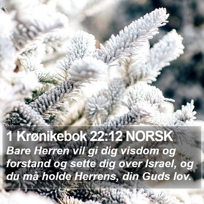 1 Krønikebok 22:12 NORSK Bible Verse Image