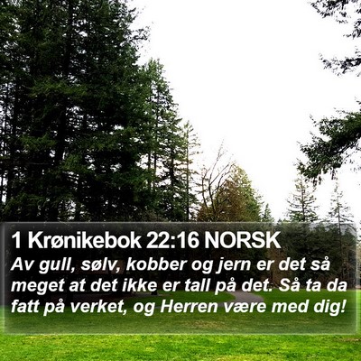 1 Krønikebok 22:16 NORSK Bible Verse Image