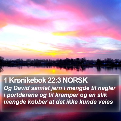 1 Krønikebok 22:3 NORSK Bible Verse Image