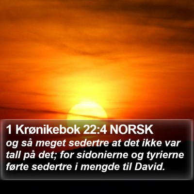 1 Krønikebok 22:4 NORSK Bible Verse Image