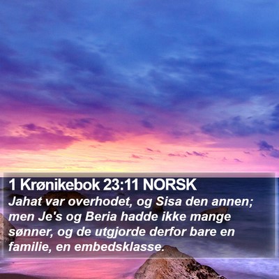 1 Krønikebok 23:11 NORSK Bible Verse Image
