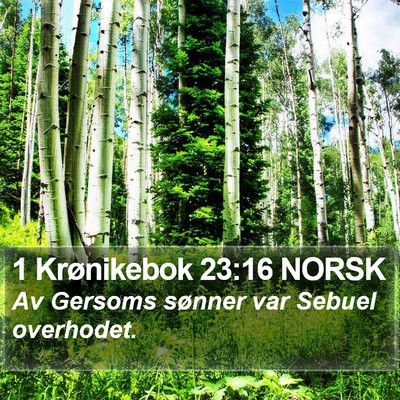 1 Krønikebok 23:16 NORSK Bible Verse Image