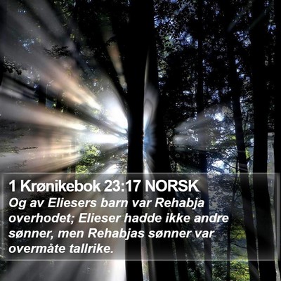 1 Krønikebok 23:17 NORSK Bible Verse Image