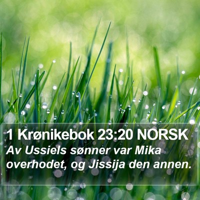 1 Krønikebok 23:20 NORSK Bible Verse Image