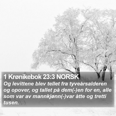 1 Krønikebok 23:3 NORSK Bible Verse Image