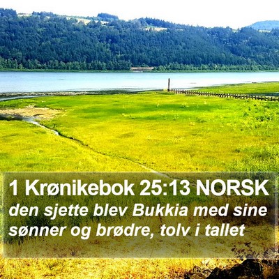 1 Krønikebok 25:13 NORSK Bible Verse Image