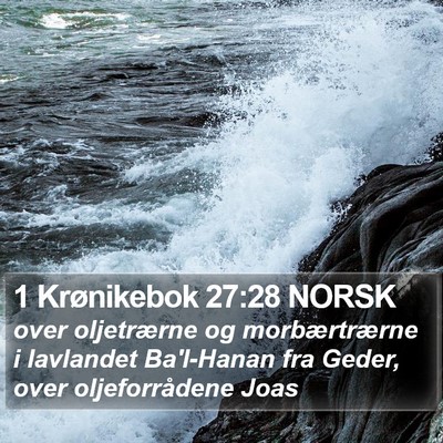 1 Krønikebok 27:28 NORSK Bible Verse Image