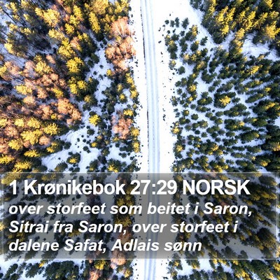1 Krønikebok 27:29 NORSK Bible Verse Image