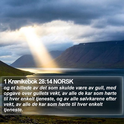 1 Krønikebok 28:14 NORSK Bible Verse Image